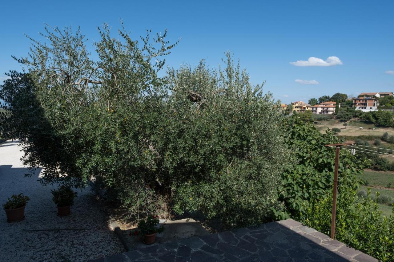 Apartament La Casa Di Sara Città della Pieve Zewnętrze zdjęcie